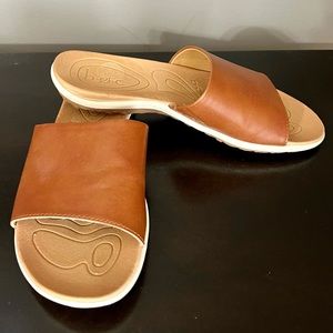 Tan boc slides